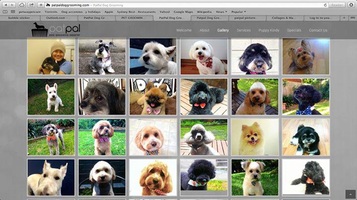 PatPal Dog Grooming