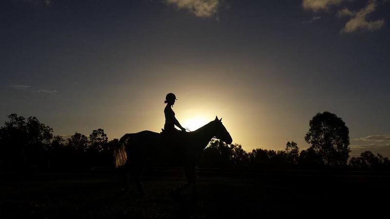 Concise Equestrian Centre