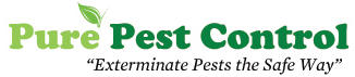 Pure Pest Control: Little Mountain