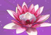 The Stillpoint logo
