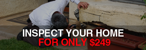 Home Termite Control: Wahroonga