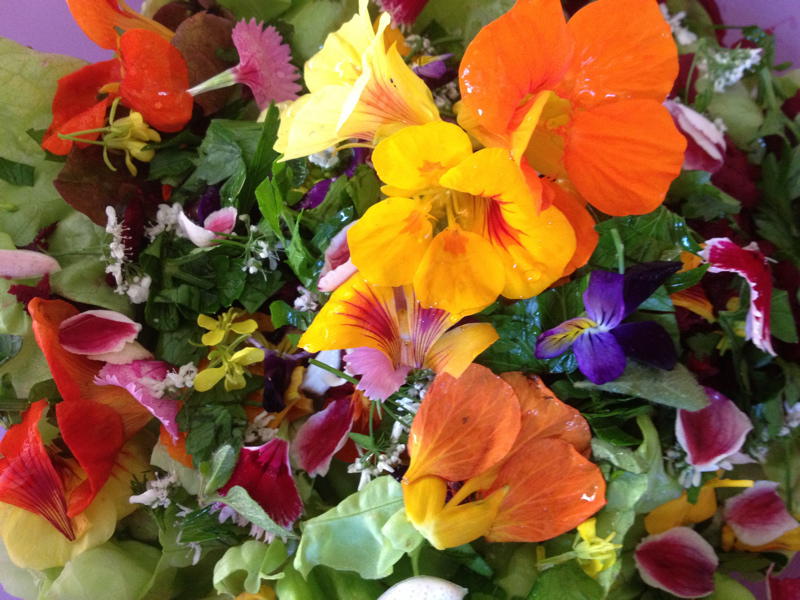 Garden To Table Permaculture