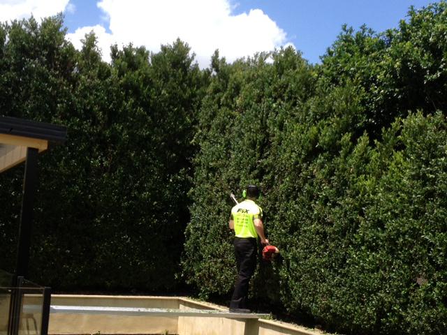 Fox Mowing & Gardening: Carlingford