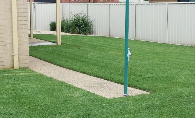 Maneroo Mowing