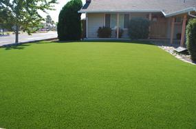 Supa Synthetic Grass