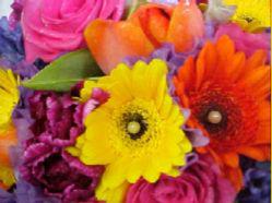 Blooms & Petals Florist