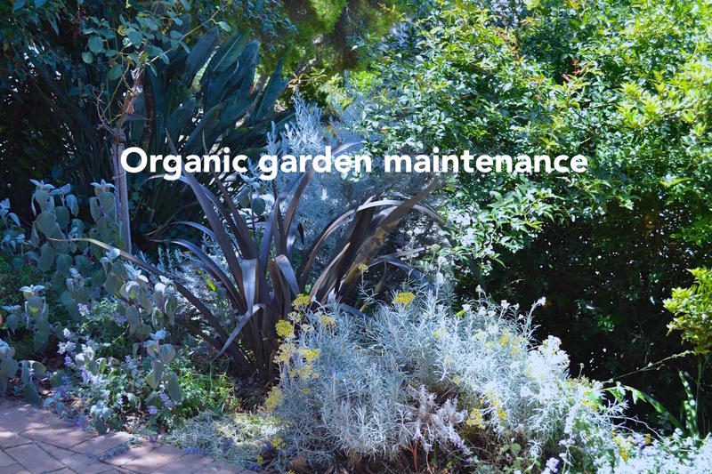 Natural Gardeners