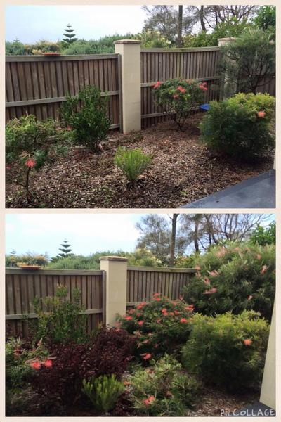 Total Lawn Care Solutions