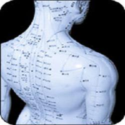 Tao Acupuncture