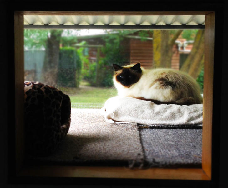 Catterlodge