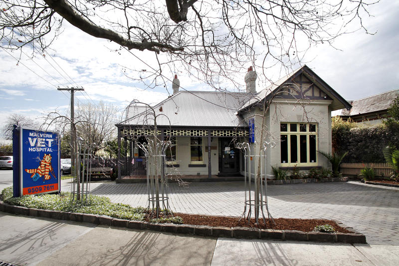Malvern Veterinary Hospital