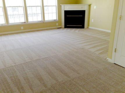 Carpet Cleaners in Melbourne