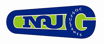 Cinaug Consultants logo