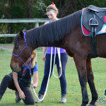Coolbadad Equestrian Centre