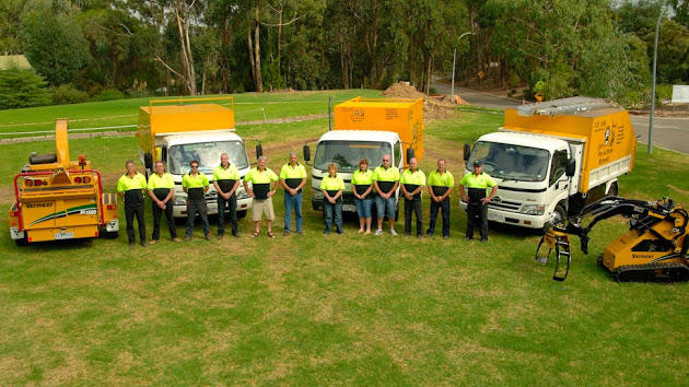 Jim's Tree Removal: Sydney