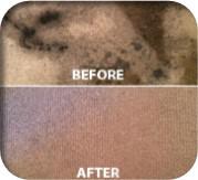 Dustfree Commercial Cleaning