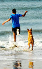 City Beach Veterinarians