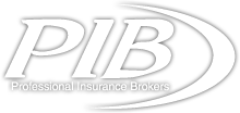 Professional Insurance Brokers
