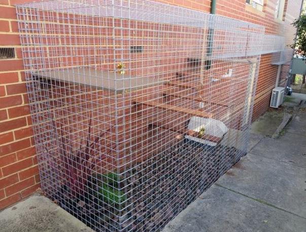 Cat Cubby's