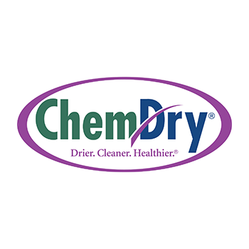 Chem-Dry Action