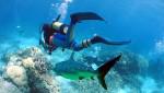 Whitsunday Diving Academy