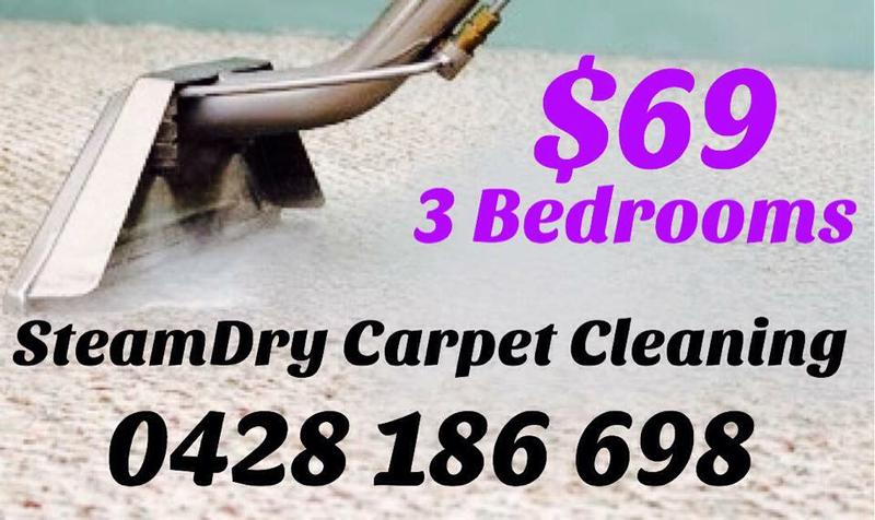SteamDry Carpet Cleaning Services