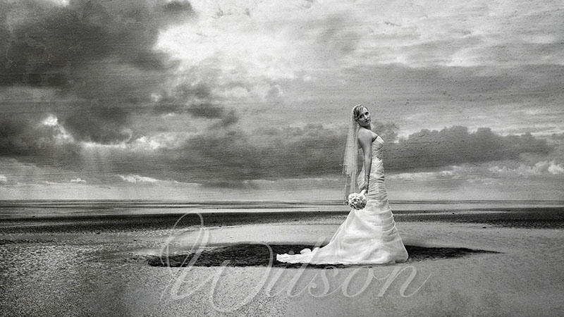 Wilson Weddings: Brisbane