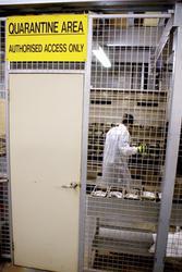Diamantina Laboratories