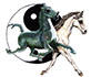 Acupuncture4horses