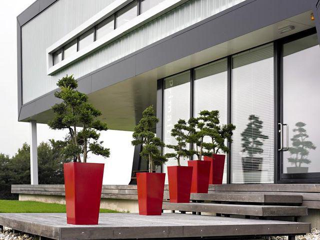Inscape Indoor Plant Hire