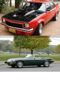 Freds Auto Glass