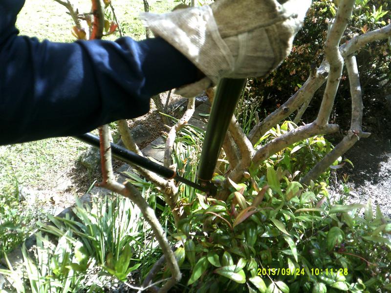 Enviro Services
