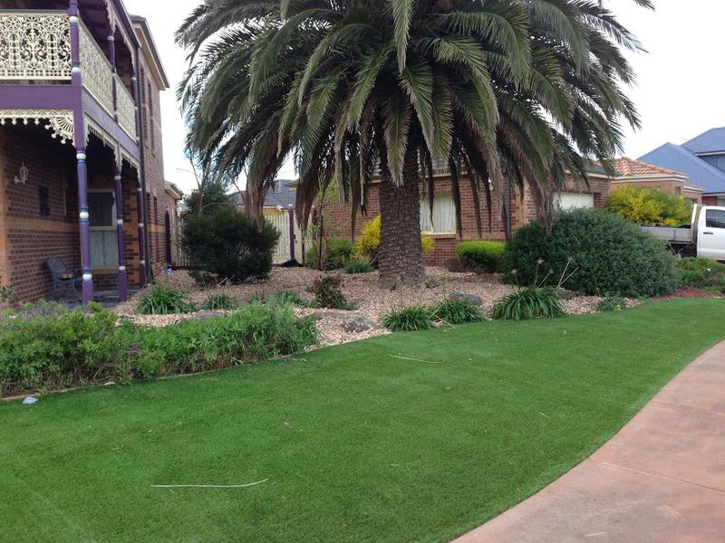Amazing Turf