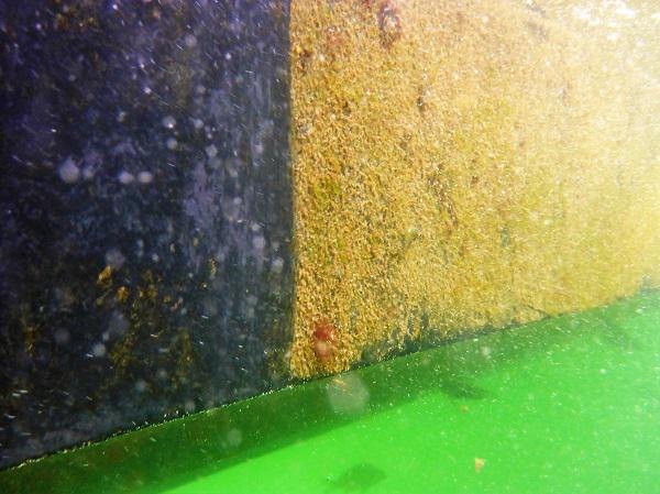 Perth Hull Cleaning