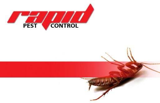 Rapid Pest Control: Melbourne
