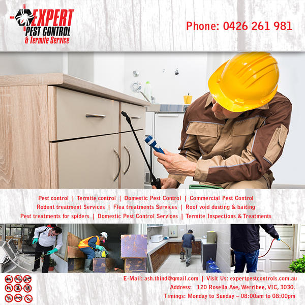 Expert Pest Control & Termite Service