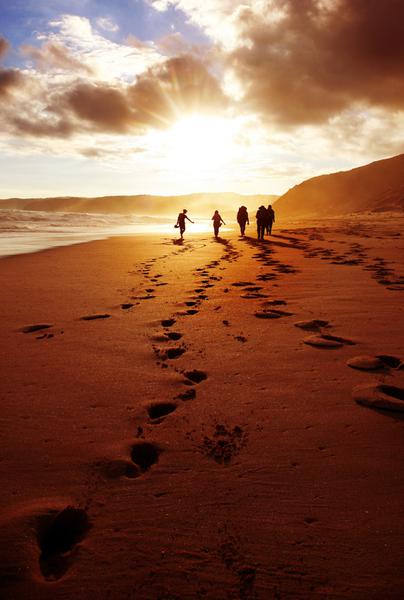 Natural Treasures Touring
