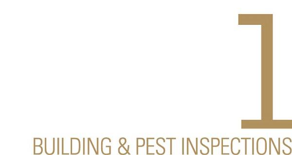Tier 1 Building And Pest Inspections