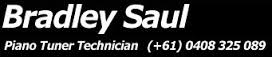 Bradley Saul logo