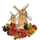 Windmills & Roses