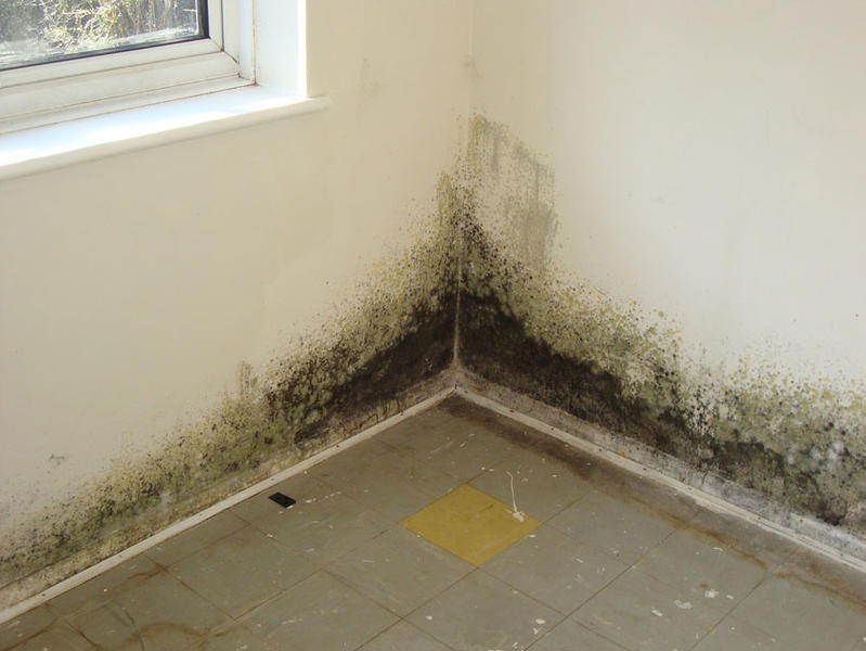 Hobart Building Inspections