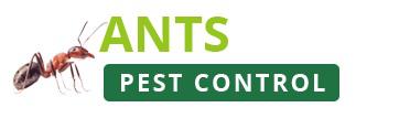 Ants Pest Control