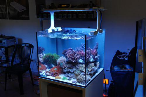 Aqua Led