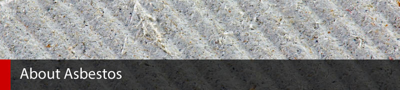 Pro Asbestos Removal: Melbourne