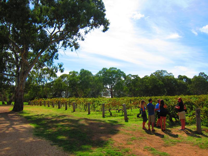 Small Batch Wine Tours