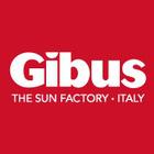 Gibus Australia