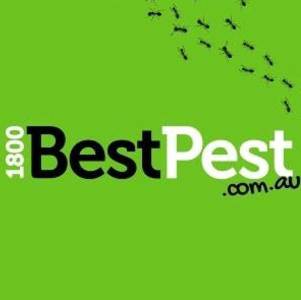 1800 Best Pest logo