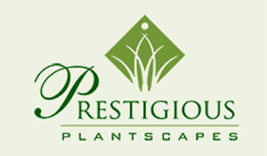Prestigious Plantscapes