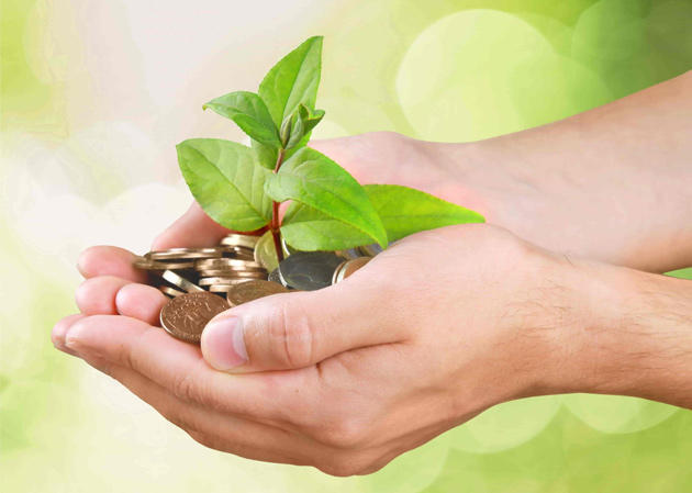 Accountancy Services