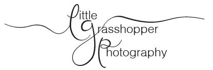Little Grasshopper Photography